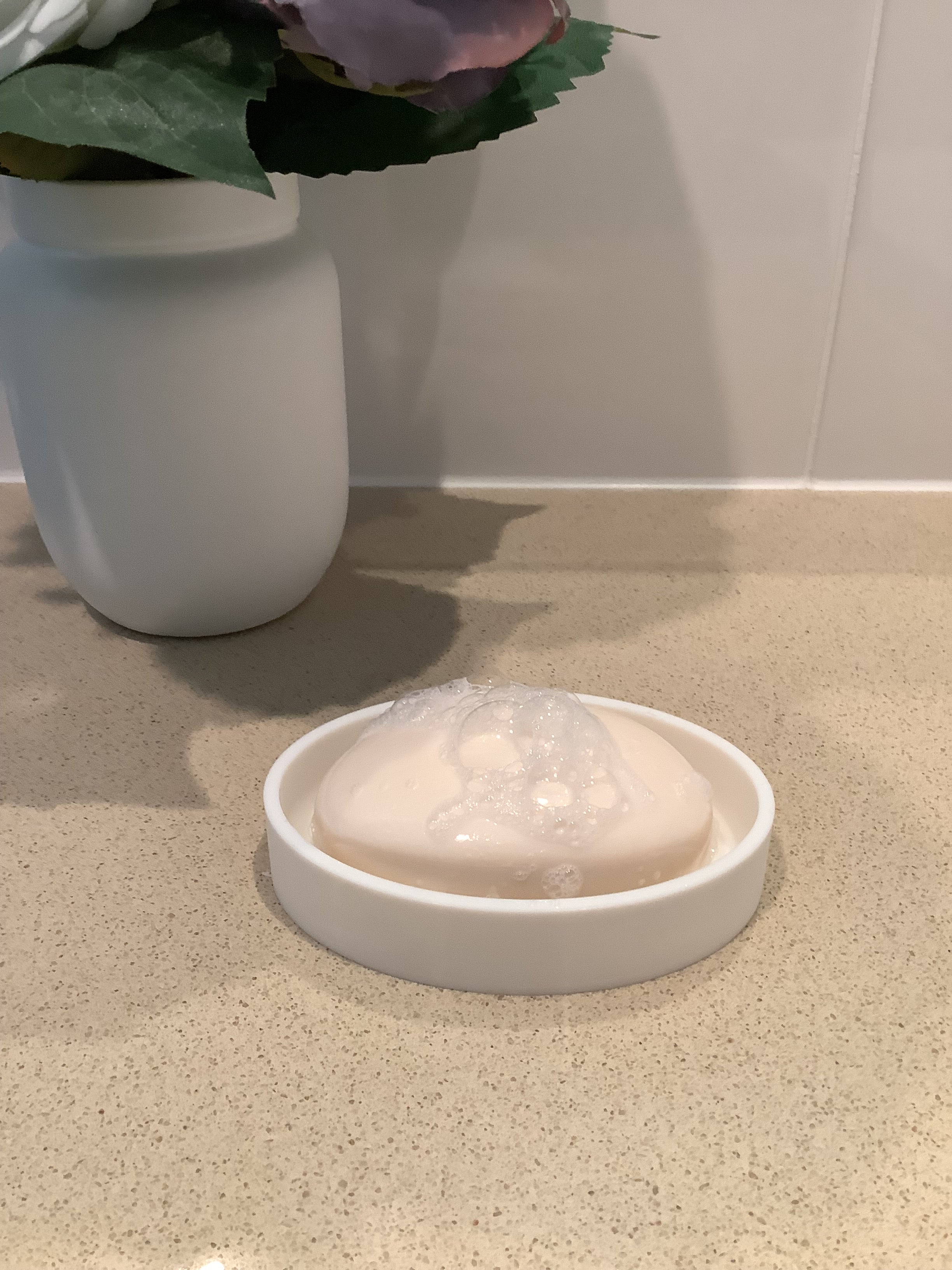Soap Dish