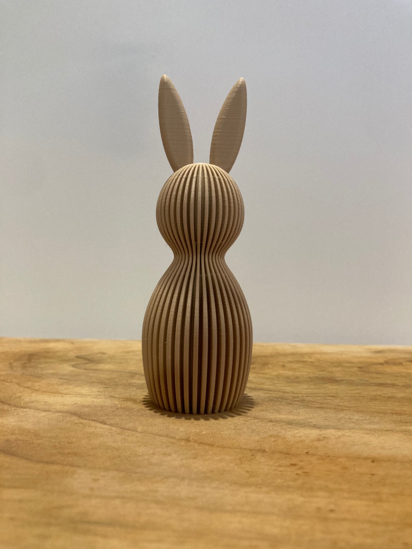 2 Piece Modern Easter Bunny