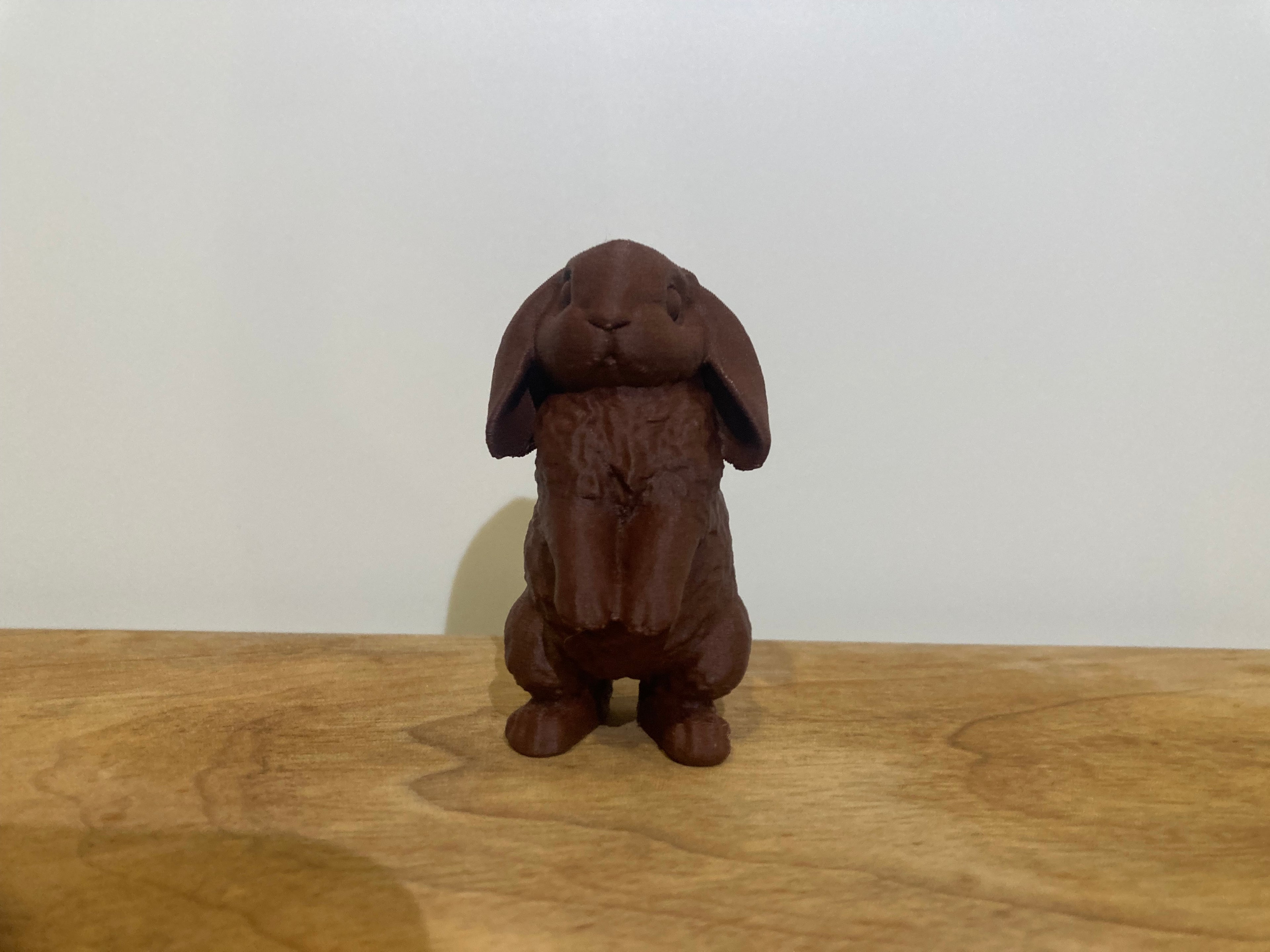Cute Easter bunny rabbit with floppy ears