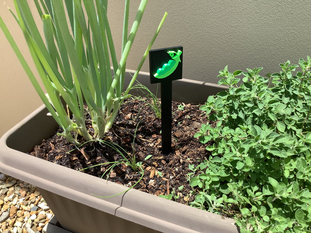3D Printed Bean Garden Sign