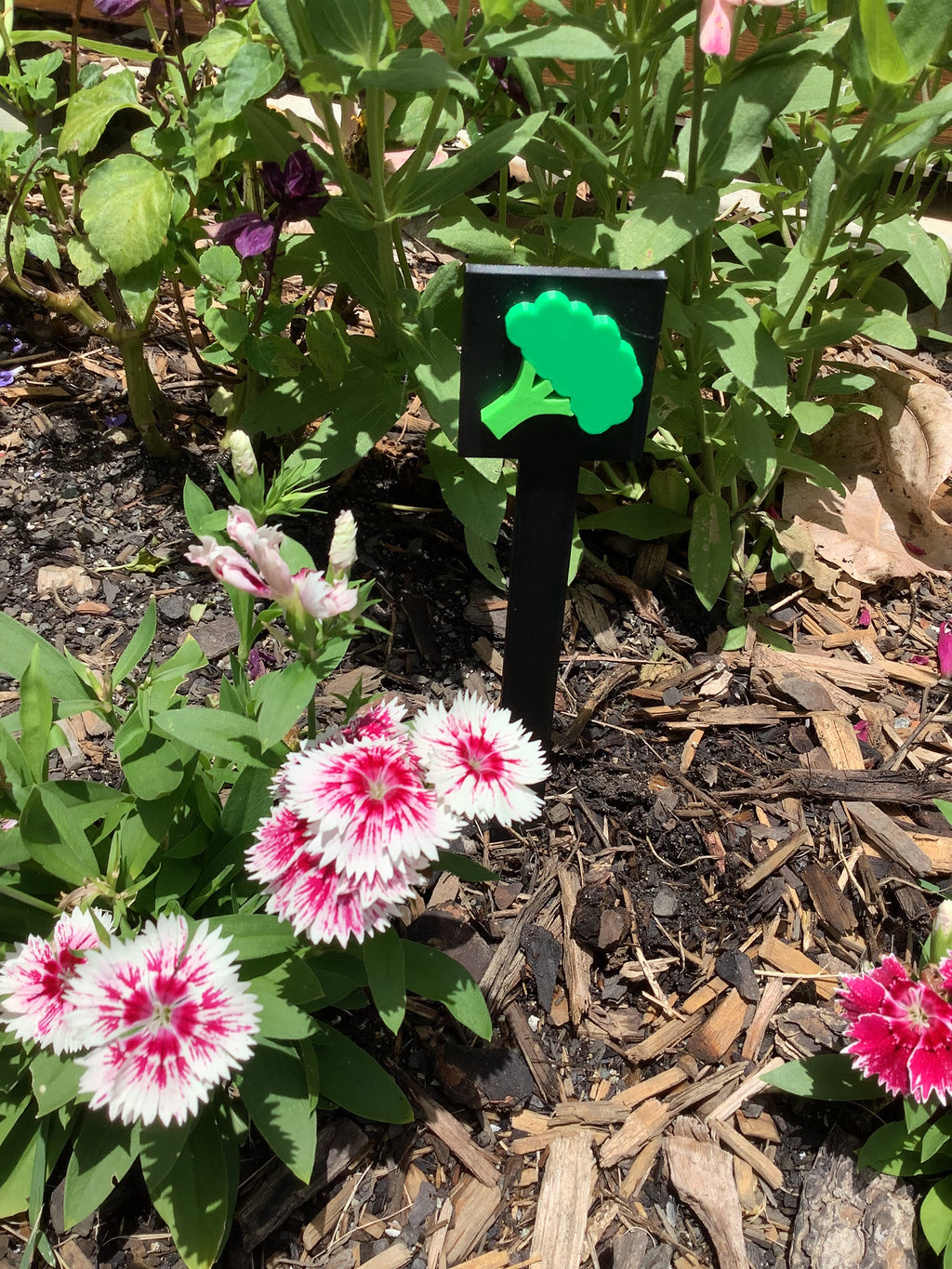 Broccoli Garden Sign