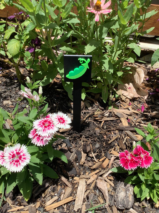 3D Printed Bean Garden Sign