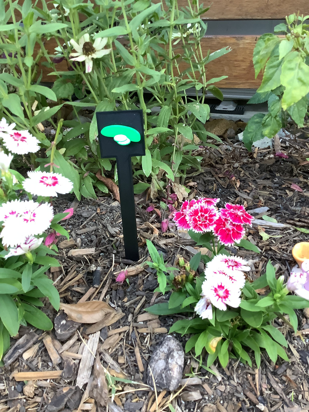 Cucumber Garden Sign
