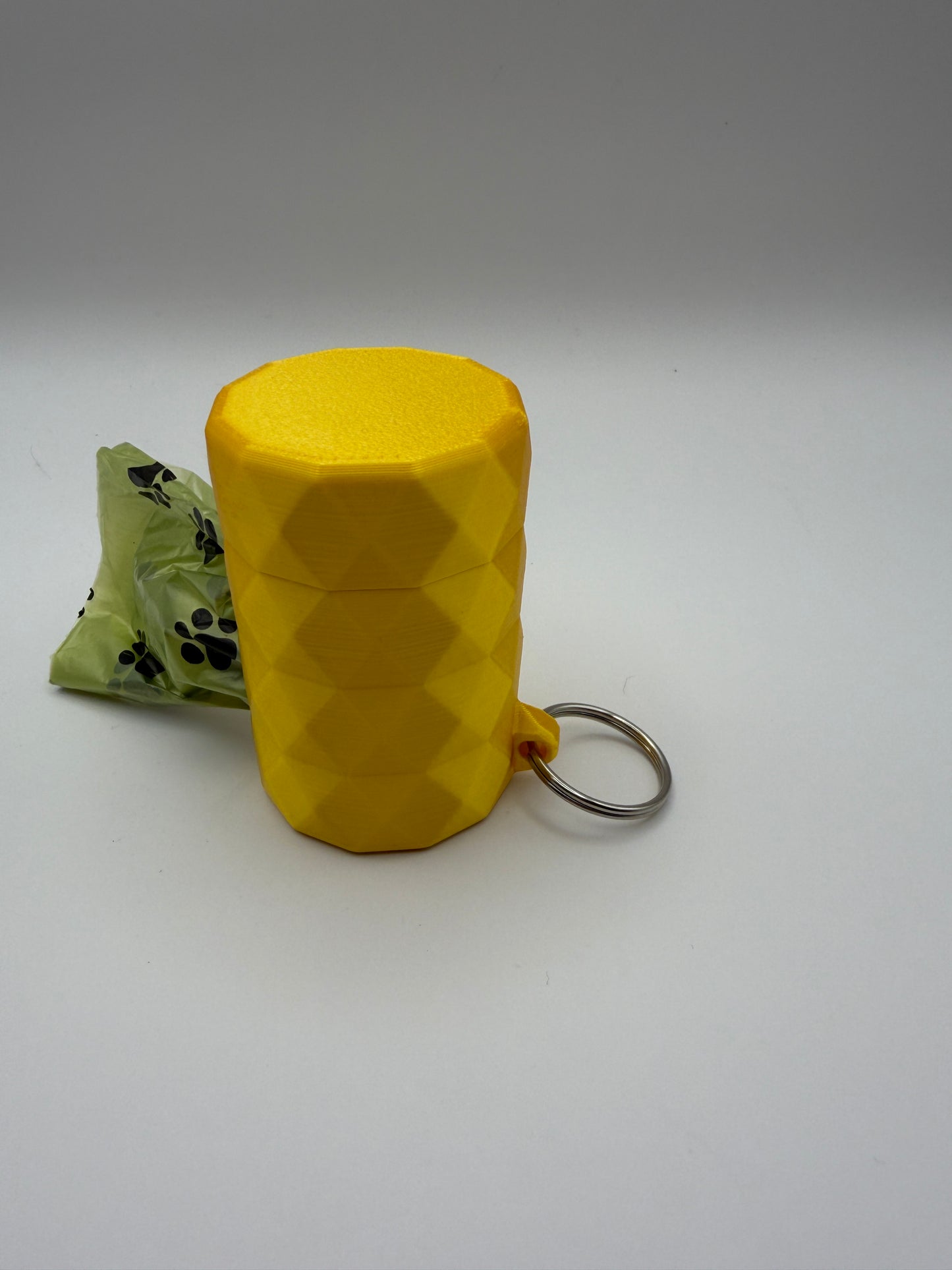 Dog Poo Bag Dispenser with Leash Attachment