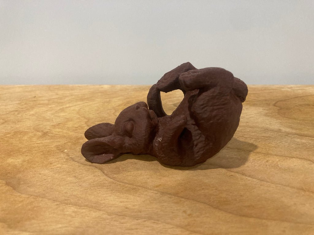 Bunny Playing with his feet