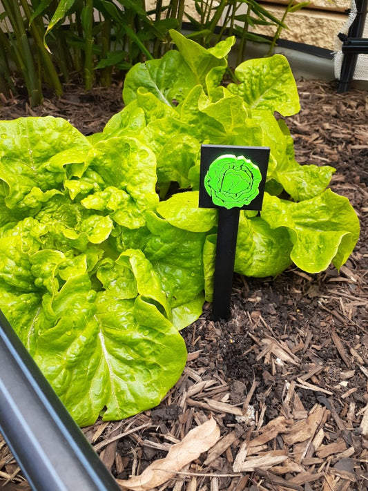 Lettuce sign