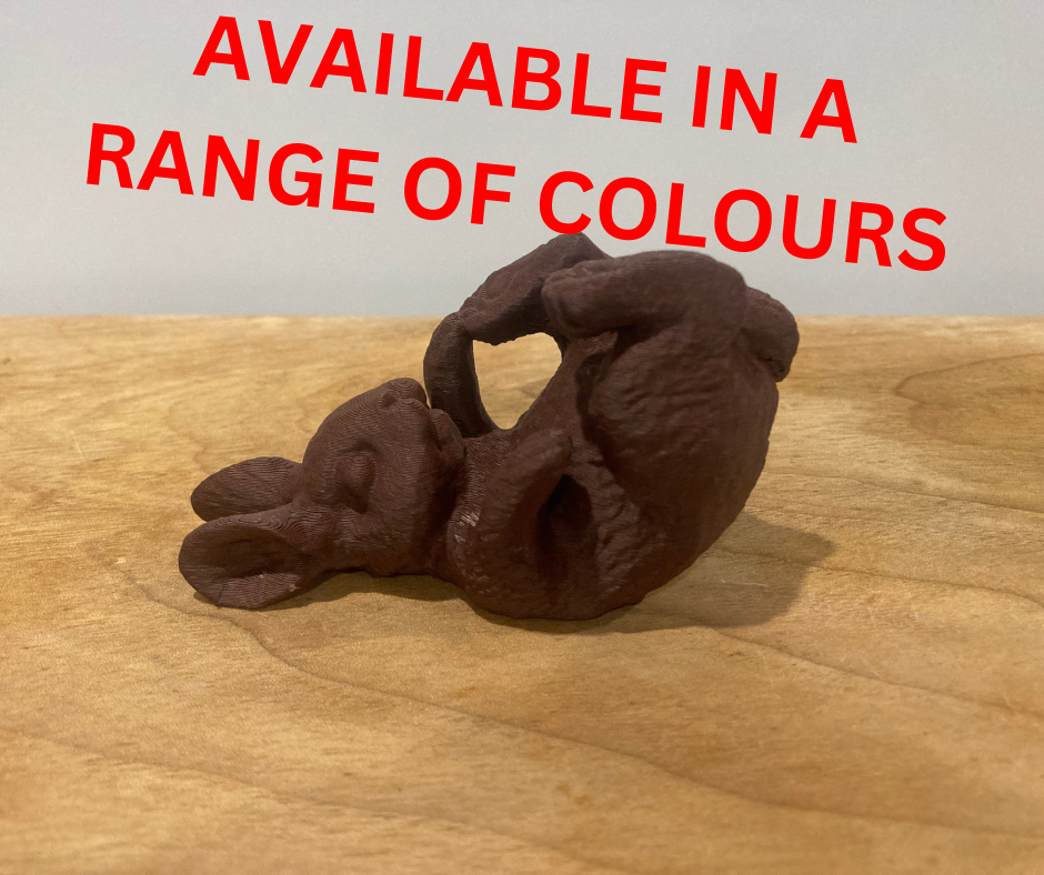 Bunny Playing with his feet